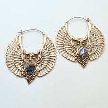 Load image into Gallery viewer, Abalone Owls - L/Brass